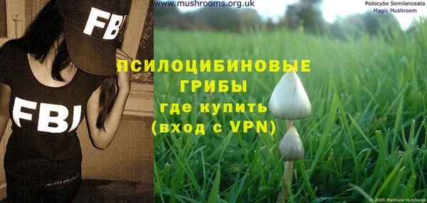 шишки Волосово