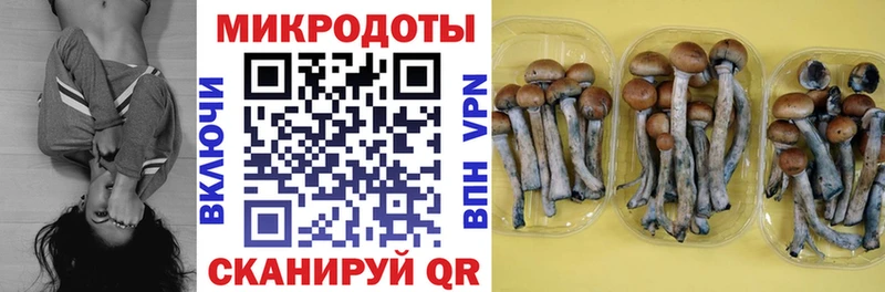 Галлюциногенные грибы Psilocybe  Дзержинск 